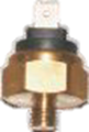 Trial Enduro Shop Thermostat